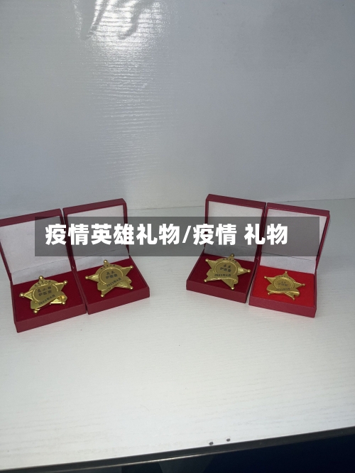 疫情英雄礼物/疫情 礼物-第1张图片