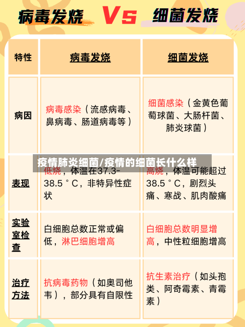 疫情肺炎细菌/疫情的细菌长什么样-第1张图片