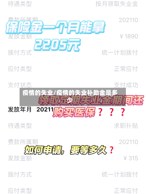 疫情的失业/疫情的失业补助金是多少-第2张图片