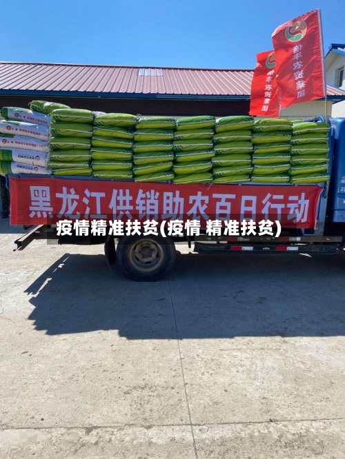 疫情精准扶贫(疫情 精准扶贫)-第2张图片