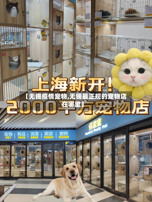 【无锡疫情宠物,无锡最正规的宠物店在哪里】-第1张图片