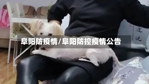 阜阳防疫情/阜阳防控疫情公告-第1张图片