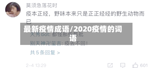 最新疫情成语/2020疫情的词语-第1张图片