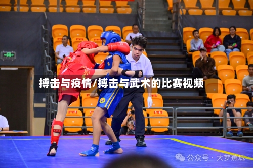 搏击与疫情/搏击与武术的比赛视频-第1张图片