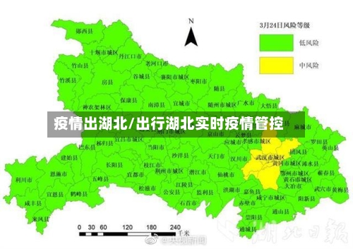 疫情出湖北/出行湖北实时疫情管控-第1张图片