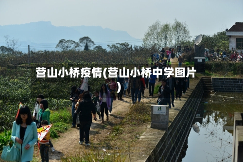 营山小桥疫情(营山小桥中学图片)-第1张图片