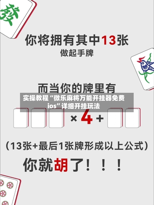 实操教程“微乐麻将万能开挂器免费ios”详细开挂玩法-第3张图片