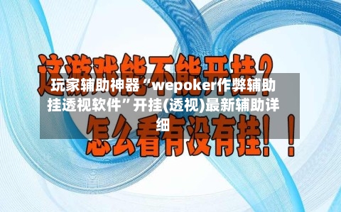 玩家辅助神器“wepoker作弊辅助挂透视软件”开挂(透视)最新辅助详细-第3张图片