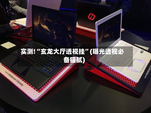 实测!“玄龙大厅透视挂”(曝光透视必备猫腻)-第1张图片