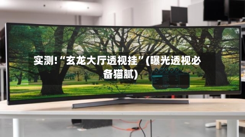 实测!“玄龙大厅透视挂”(曝光透视必备猫腻)-第2张图片