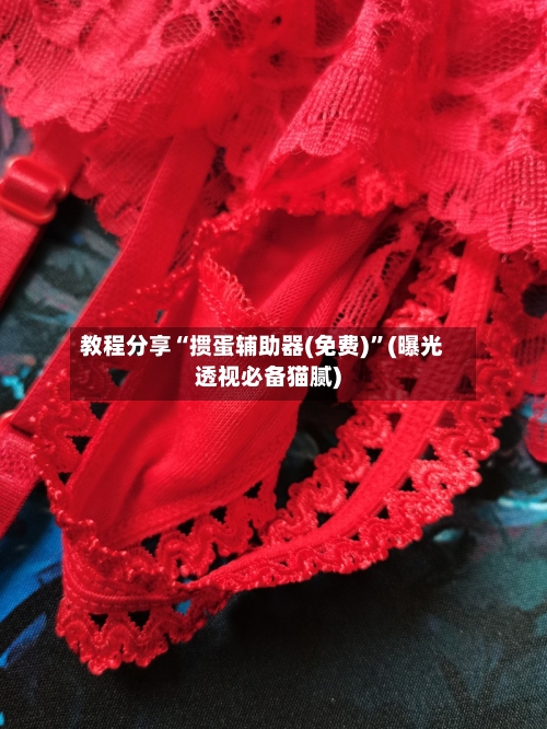 教程分享“掼蛋辅助器(免费)”(曝光透视必备猫腻)-第2张图片