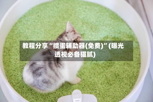 教程分享“掼蛋辅助器(免费)	”(曝光透视必备猫腻)-第1张图片