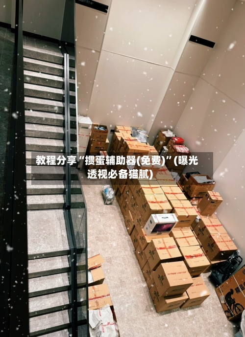 教程分享“掼蛋辅助器(免费)”(曝光透视必备猫腻)-第3张图片