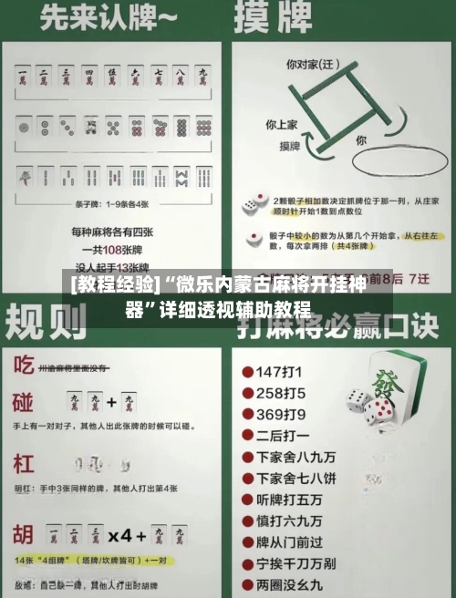 [教程经验]“微乐内蒙古麻将开挂神器”详细透视辅助教程-第3张图片