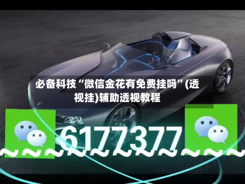 必备科技“微信金花有免费挂吗”(透视挂)辅助透视教程-第2张图片