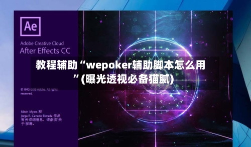 教程辅助“wepoker辅助脚本怎么用	”(曝光透视必备猫腻)-第2张图片