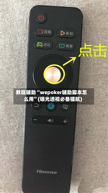 教程辅助“wepoker辅助脚本怎么用”(曝光透视必备猫腻)-第3张图片