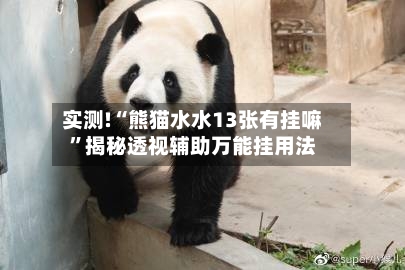 实测!“熊猫水水13张有挂嘛”揭秘透视辅助万能挂用法-第2张图片