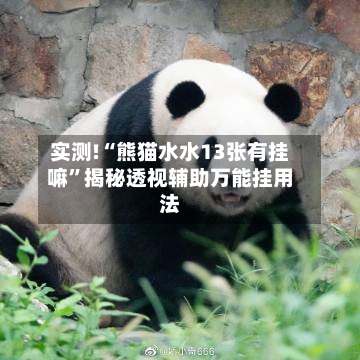 实测!“熊猫水水13张有挂嘛	”揭秘透视辅助万能挂用法-第1张图片