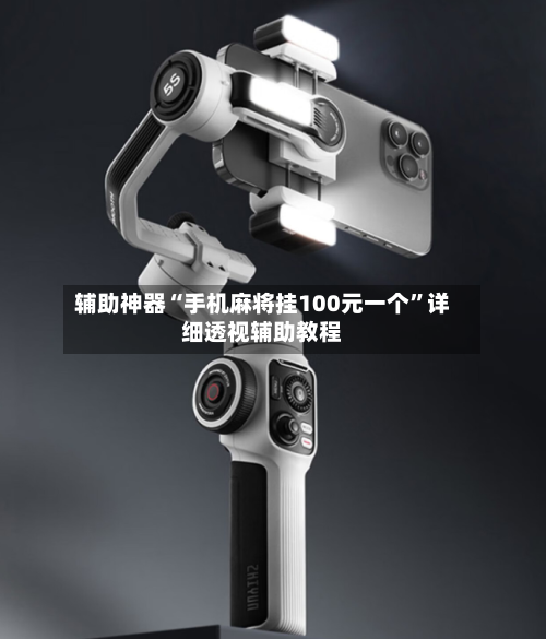 辅助神器“手机麻将挂100元一个”详细透视辅助教程-第3张图片