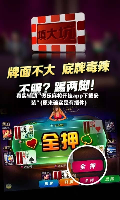 真实辅助“微乐麻将开挂app下载安装	”(原来确实是有插件)-第2张图片