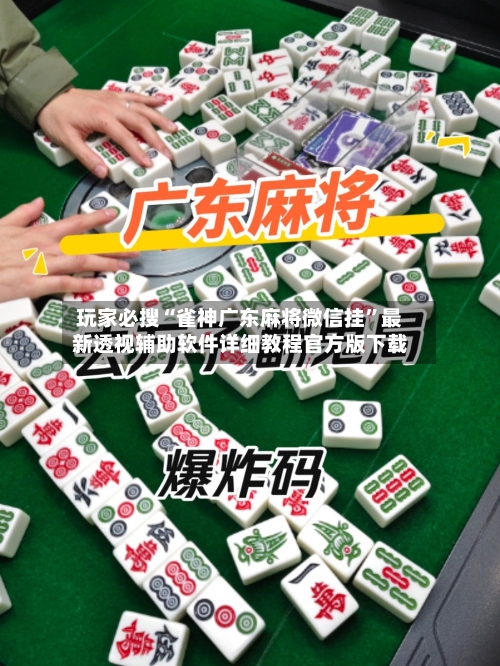 玩家必搜“雀神广东麻将微信挂”最新透视辅助软件详细教程官方版下载-第2张图片