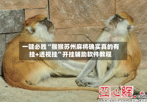 一键必胜“猴猴苏州麻将确实真的有挂+透视挂	”开挂辅助软件教程-第1张图片