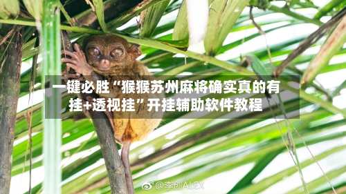 一键必胜“猴猴苏州麻将确实真的有挂+透视挂”开挂辅助软件教程-第2张图片