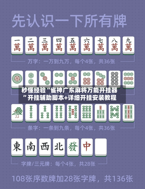 秒懂经验“雀神广东麻将万能开挂器”开挂辅助脚本+详细开挂安装教程-第3张图片
