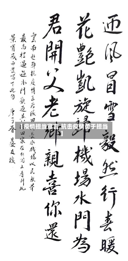 【疫情担当宣言,抗击疫情勇于担当】-第2张图片