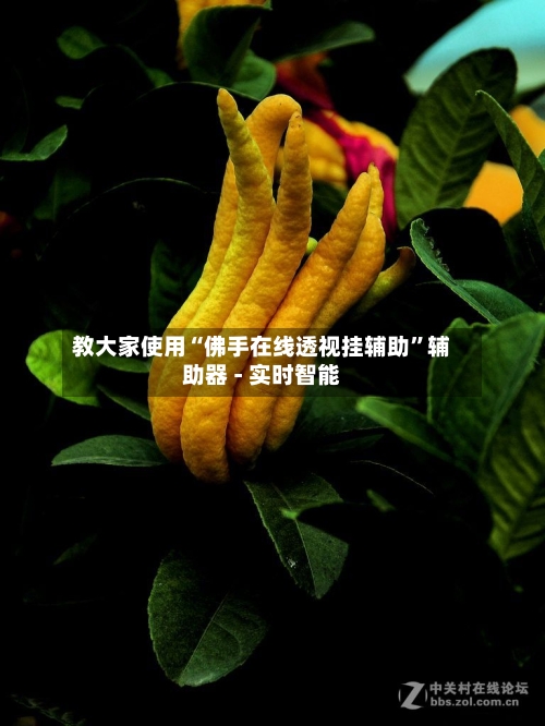 教大家使用“佛手在线透视挂辅助”辅助器 - 实时智能-第1张图片