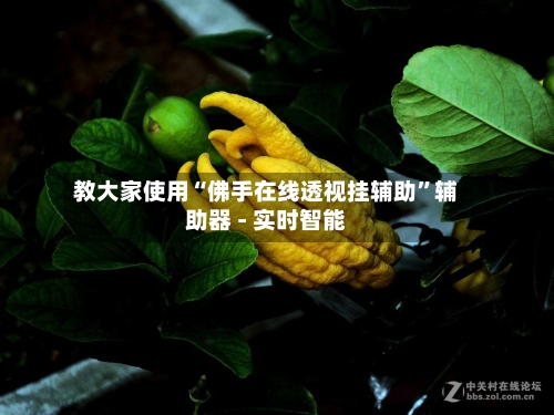 教大家使用“佛手在线透视挂辅助”辅助器 - 实时智能-第2张图片