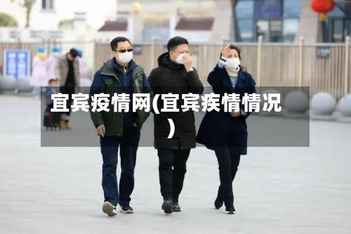 宜宾疫情网(宜宾疾情情况)-第2张图片