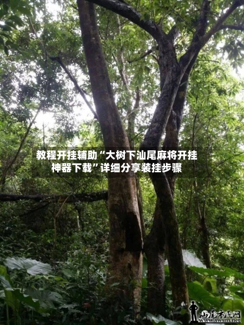 教程开挂辅助“大树下汕尾麻将开挂神器下载	”详细分享装挂步骤-第1张图片