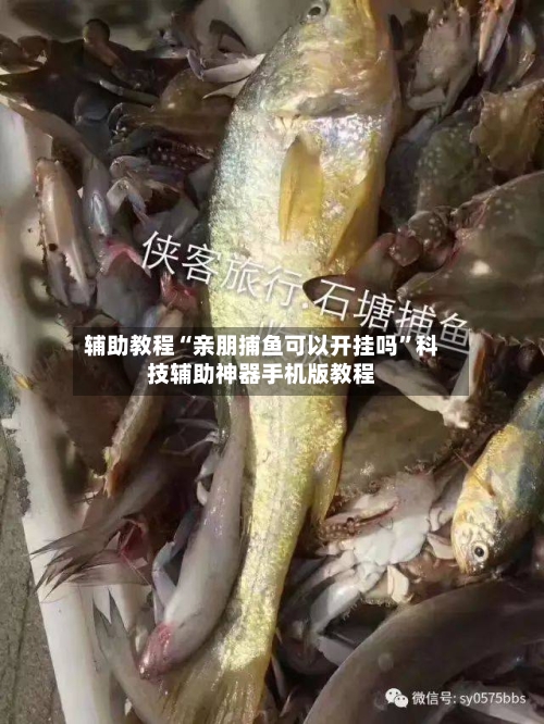 辅助教程“亲朋捕鱼可以开挂吗	”科技辅助神器手机版教程-第3张图片