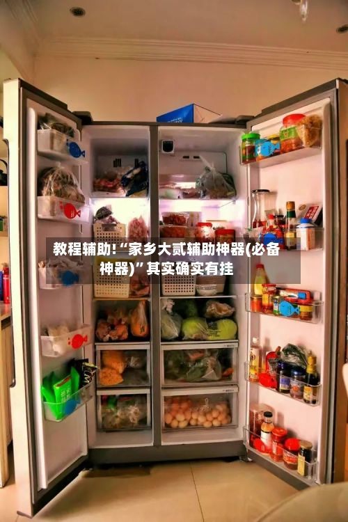 教程辅助!“家乡大贰辅助神器(必备神器)”其实确实有挂-第2张图片