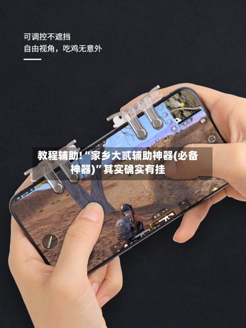 教程辅助!“家乡大贰辅助神器(必备神器)	”其实确实有挂-第3张图片