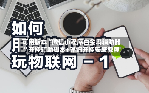 可用版本“微信小程序白金岛辅助器”开挂辅助脚本+详细开挂安装教程-第2张图片