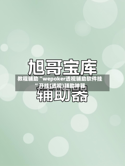 教程辅助“wepoker透视辅助软件挂”开挂(透视)辅助神器-第1张图片