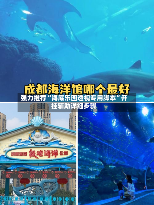 强力推荐“海底乐园透视专用脚本”开挂辅助详细步骤-第1张图片