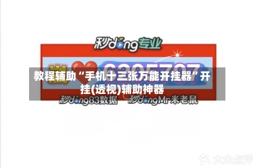 教程辅助“手机十三张万能开挂器”开挂(透视)辅助神器-第2张图片