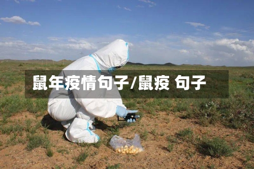 鼠年疫情句子/鼠疫 句子-第1张图片