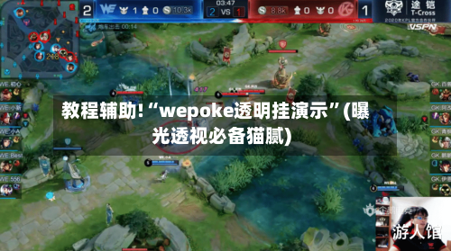 教程辅助!“wepoke透明挂演示”(曝光透视必备猫腻)-第1张图片