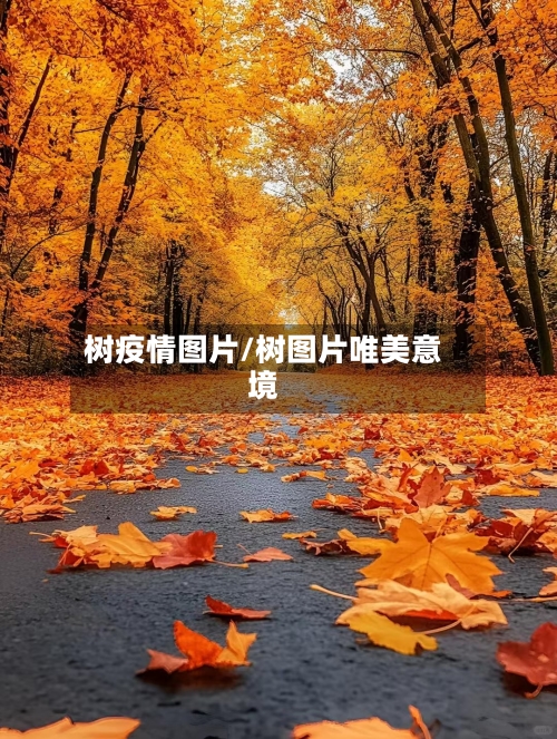 树疫情图片/树图片唯美意境-第1张图片