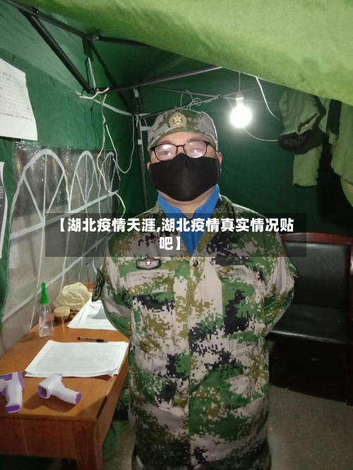 【湖北疫情天涯,湖北疫情真实情况贴吧】-第2张图片