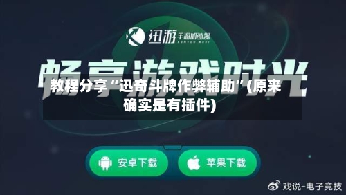 教程分享“迅奇斗牌作弊辅助	”(原来确实是有插件)-第2张图片