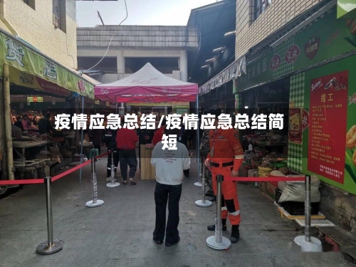 疫情应急总结/疫情应急总结简短-第2张图片