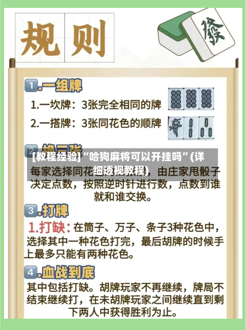 [教程经验]“哈狗麻将可以开挂吗”(详细透视教程)-第1张图片