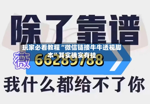 玩家必看教程“微信链接牛牛透视脚本”其实确实有挂-第2张图片