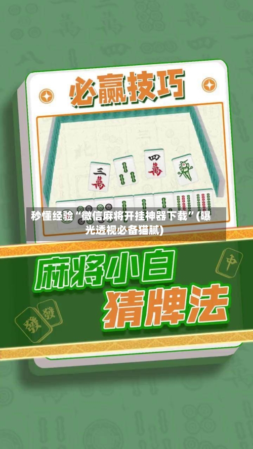 秒懂经验“微信麻将开挂神器下载”(曝光透视必备猫腻)-第1张图片